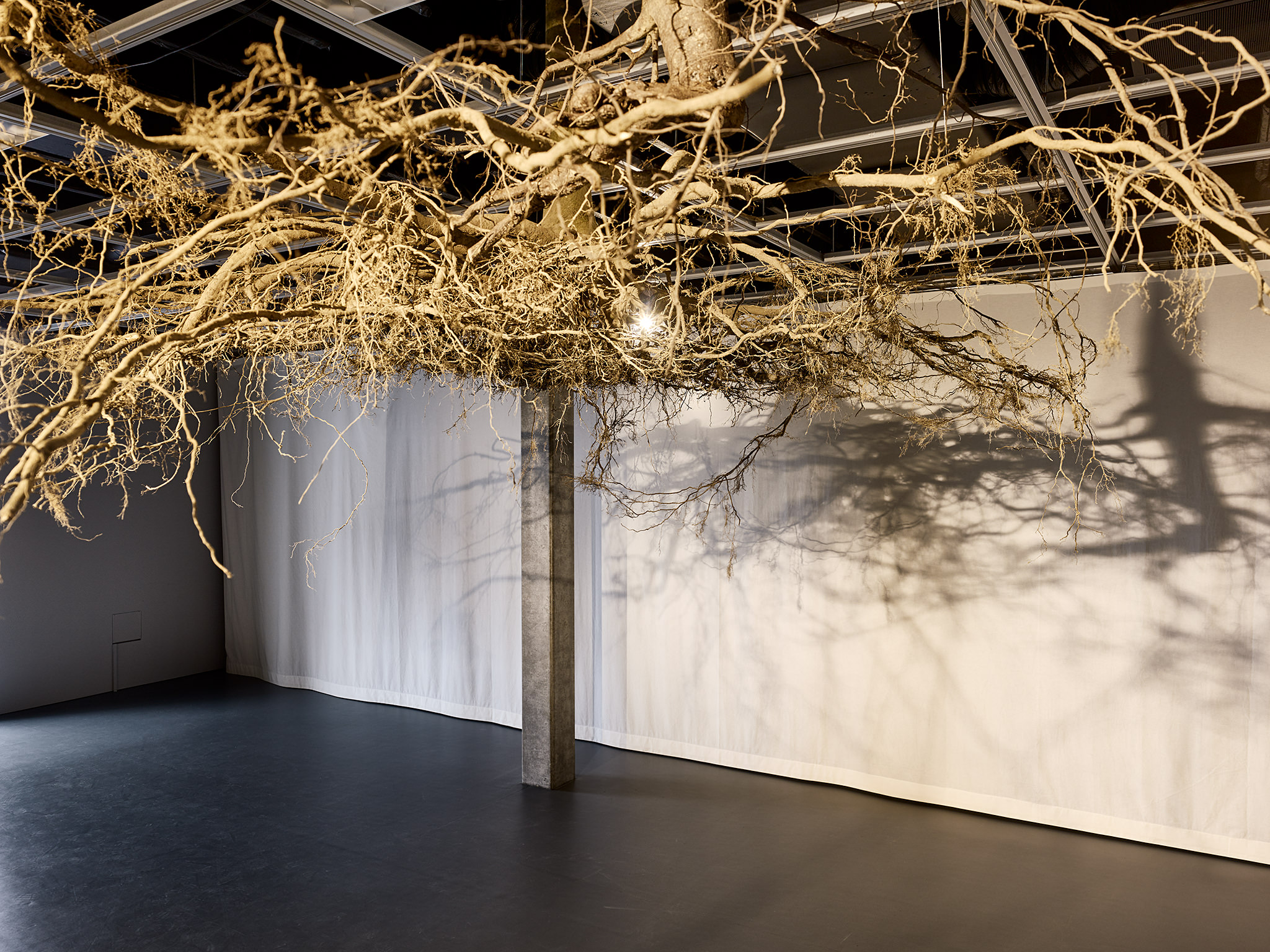 LIVE MATTER - Design Vegetal